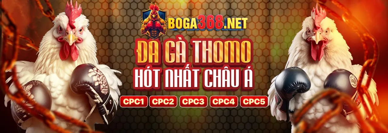 Casino trực tuyến Winplay Win với dealer người thật